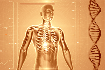 corso istruttore ginnastica posturale 1 livello